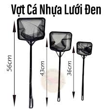 Nho Ninh Thuận
